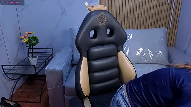 Kitten Cam online show from February 12, 2:44 am