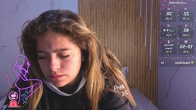 Kitten Cam online show from November 29, 1:00 pm