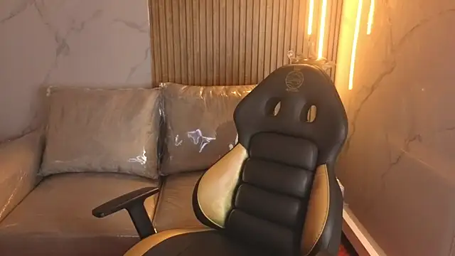 Kitten Cam online show from November 26, 3:17 am