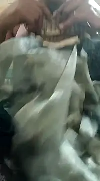 Snapshot of chocobbsimarn chatting on March 19, 10:53 pm chocobbsimarn online show from March 19, 10:53 pm