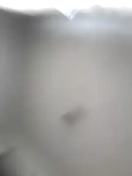 Snapshot of Godessofpleasxa chatting on December 16, 8:07 am Godessofpleasxa online show from December 16, 8:07 am