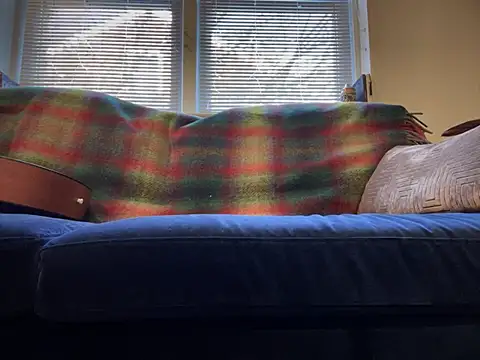 Prolapse Pig online show from February 4, 9:20 pm