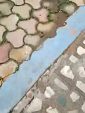 Raj41 online show from October 5, 4:25 am