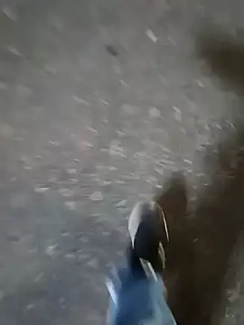 Raj41 online show from December 17, 1:38 pm