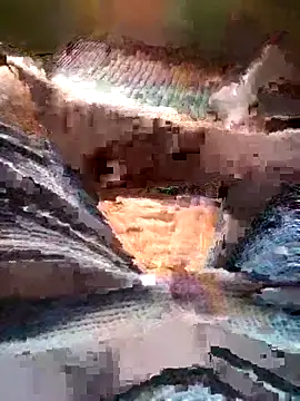 Raj41 online show from March 15, 10:33 am