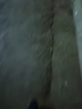 Raj41 online show from December 3, 3:11 pm