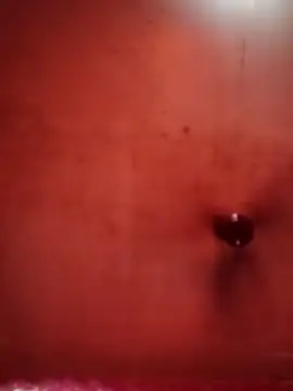 Raj41 online show from October 21, 9:41 am