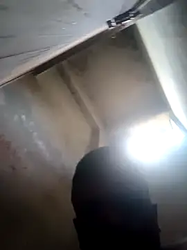 Raj41 online show from September 29, 1:23 am