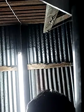 Pleum99 online show from January 20, 7:46 pm