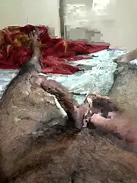 Royyy dandol online show from February 25, 4:35 pm