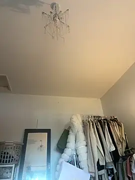 blissdimicco online show from December 14, 2:00 pm