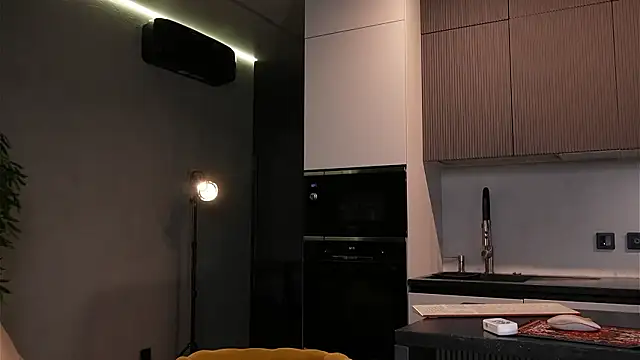 Sofa 01 online show from February 1, 2:59 pm