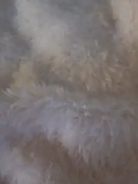 Snapshot of feketedemon36 chatting on January 25, 4:57 pm feketedemon36 online show from January 25, 4:57 pm