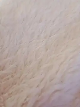 Snapshot of feketedemon36 chatting on January 21, 9:15 pm feketedemon36 online show from January 21, 9:15 pm