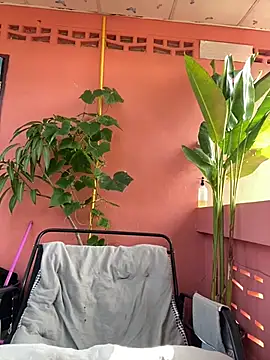 White Lu online show from April 23, 2:07 am