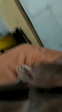 Snapshot of Jxffffv chatting on February 24, 12:20 am Jxffffv online show from February 24, 12:20 am