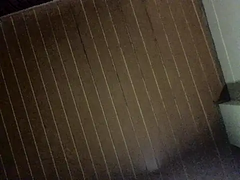 Nooneisthis online show from December 3, 6:36 am