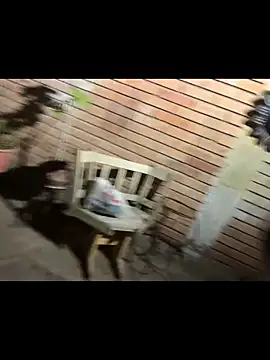 paullliliu online show from June 11, 7:38 am