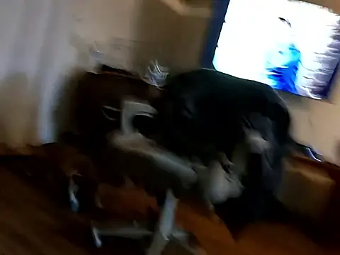 Johndis805 online show from November 19, 5:29 am