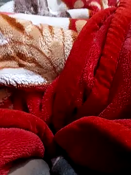 Snapshot of mhmia chatting on February 4, 5:12 pm mhmia online show from February 4, 5:12 pm