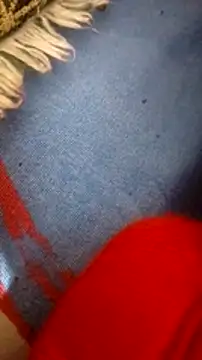 Snapshot of mhmia chatting on February 5, 8:21 am mhmia online show from February 5, 8:21 am