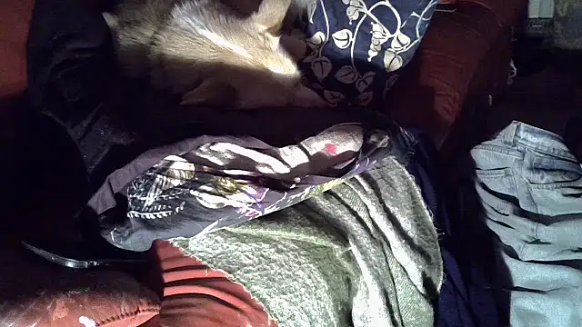 Damn bro23 online show from January 15, 12:47 am