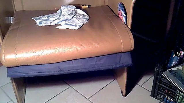 Damn bro23 online show from November 28, 5:57 pm