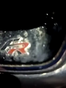 petxxl online show from December 1, 3:51 am