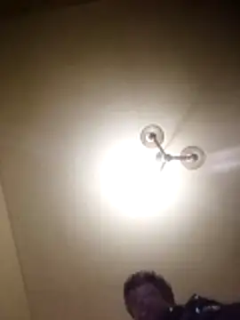 petxxl online show from November 29, 8:14 am