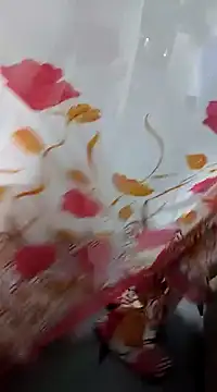 Snapshot of laxmitelugu78 chatting on February 4, 1:59 pm laxmitelugu78 online show from February 4, 1:59 pm