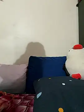 Snapshot of smiley_telugu chatting on February 15, 10:25 am smiley telugu online show from February 15, 10:25 am