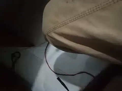 world bigdick1 online show from November 29, 2:39 pm