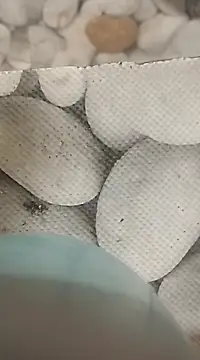 Snapshot of Playboy_bhabhi_00 chatting on February 25, 8:14 am Playboy bhabhi 00 online show from February 25, 8:14 am