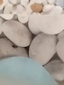 Snapshot of Playboy_bhabhi_00 chatting on February 27, 5:51 am Playboy bhabhi 00 online show from February 27, 5:51 am