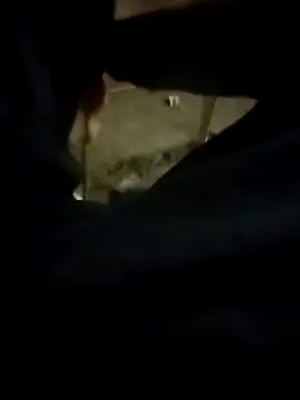 Snapshot of Playboy_bhabhi_00 chatting on February 13, 2:42 pm Playboy bhabhi 00 online show from February 13, 2:42 pm