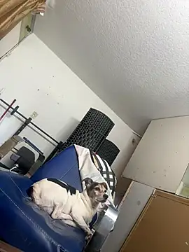 sexyhotstud12 online show from January 24, 6:25 pm