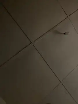 Boneca25 online show from November 16, 6:12 pm