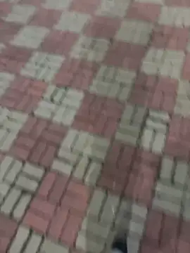 Phil 6677 online show from October 12, 6:53 pm