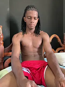 Snapshot of SlykaandpettterX chatting on November 28, 4:07 pm SlykaandpettterX online show from November 28, 4:07 pm