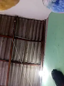 -Nicol online show from September 13, 10:04 am