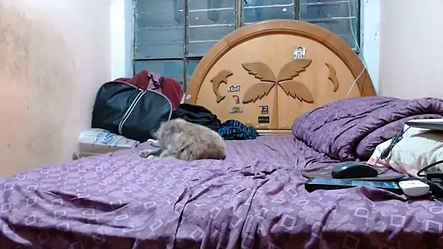 nakedlima online show from October 31, 5:15 am