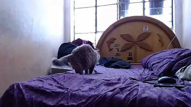 nakedlima online show from October 31, 5:20 pm