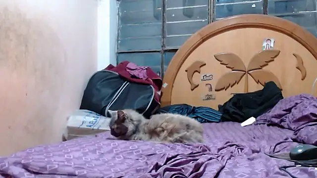 nakedlima online show from October 27, 6:58 am