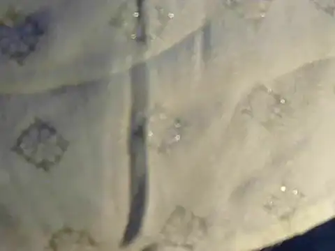 Cutie Pie1p online show from March 19, 8:45 am