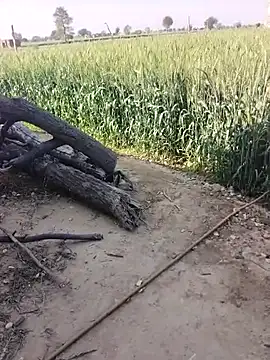 xmanrawan2 online show from February 23, 5:09 am