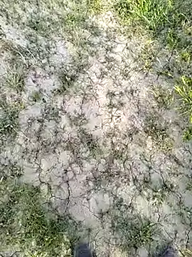 xmanrawan2 online show from March 14, 11:34 am