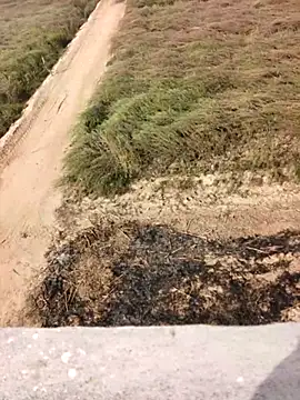 xmanrawan2 online show from February 12, 5:07 am