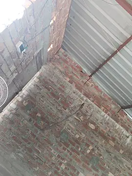 Snapshot of birds0641 chatting on October 24, 7:51 am birds0641 online show from October 24, 7:51 am