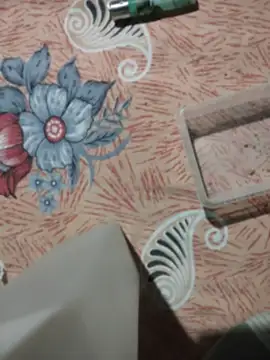 birds0641 online show from April 6, 6:20 pm