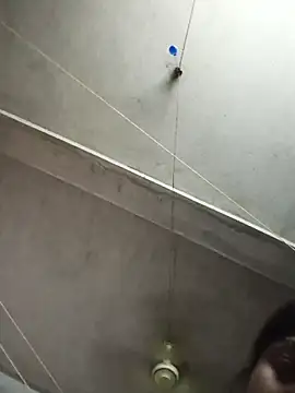 birds0641 online show from July 31, 6:27 pm